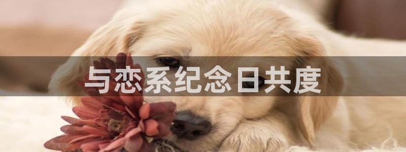 51动漫的所有版本：与恋系纪念日共度