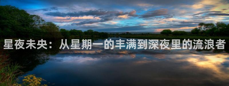 51动漫在线网站免费版：星夜未央：从星期一的丰满到深夜里的流浪者