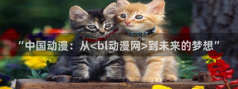 51动漫的所有版本：“中国动漫：从<bl动漫网>到未来的梦想”