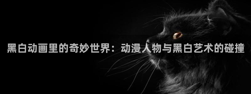 51动漫破解版nba安卓下载：黑白动画里的奇妙世界：动漫人物与黑白艺术的碰撞
