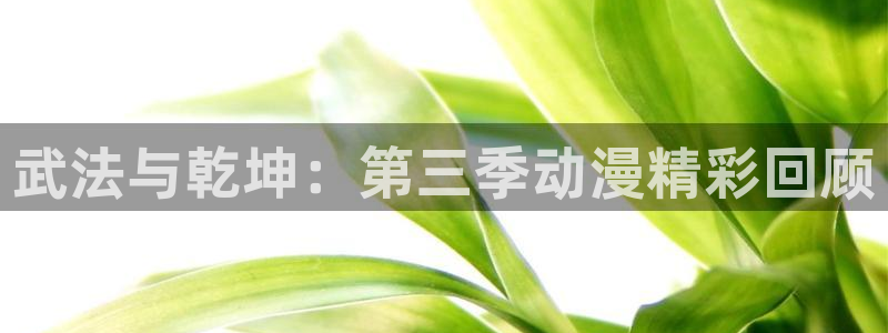 51动漫大全动漫免费观看：武法与乾坤：第三季动漫精彩回顾